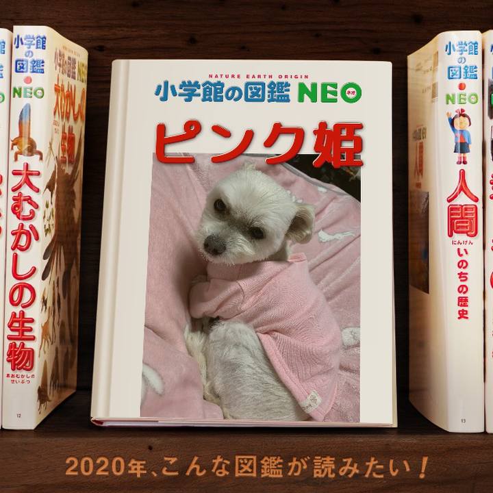 Bf18a98c 4b12 4812 acb8 c9eb1656d608 1578229770370