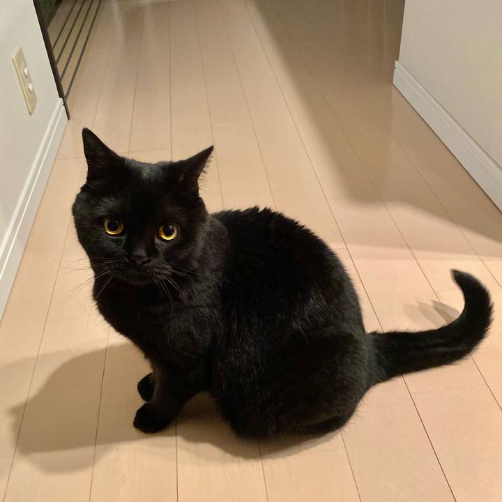 Bf18b8aa 06f9 4a8e b7f1 d617aaab7c51 1652360477869