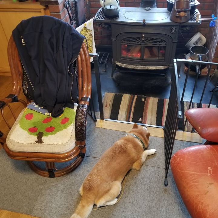 Bf18d22c f51b 4230 b386 5c7e3352fb39 1703547357893