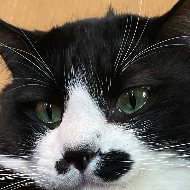 Bf19231a df3f 426f be3e 84d016618c54 1733574299604