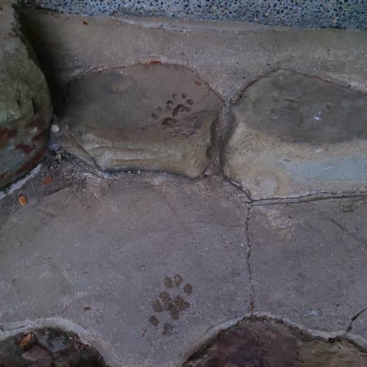 Bf192ec9 8a75 41ca a79e b57f657b7e0b 1758431870032