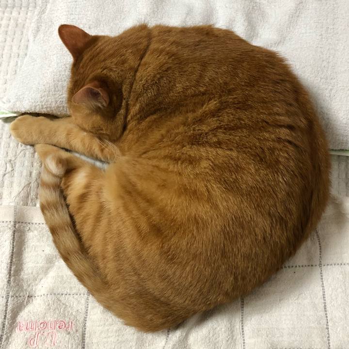 Bf192f43 6cab 4c0d 8361 6f0968d473bd 1593703903059