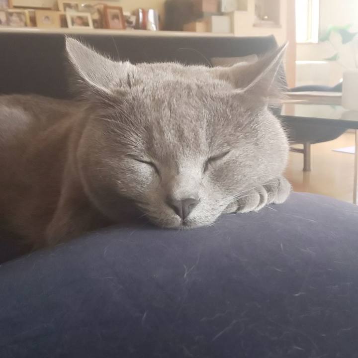 Bf1934ce 6171 4012 9a7f 0bb8de882d5d 1541735170721