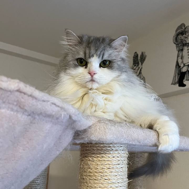 Bf1934e5 e1fa 415c 9081 6a1161799771 1665309146300