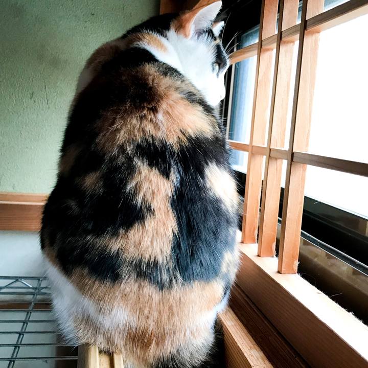 Bf199151 00af 4588 b5cf 6118b08372fb 1517308244052