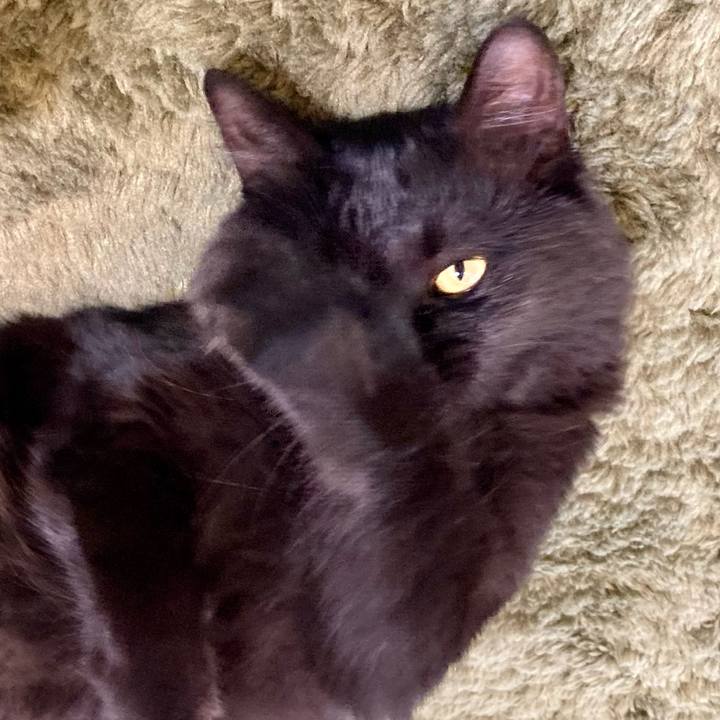 Bf19ab99 f52d 42e6 8a48 e2f768910c3d 1719829429504