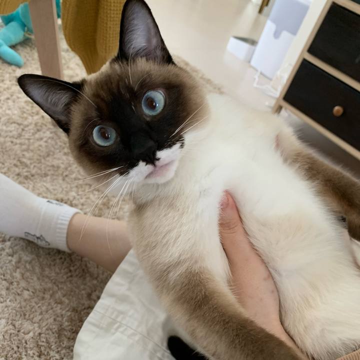 Bf19b9d1 7602 47c6 907f 948d799a4e8a 1683199132200