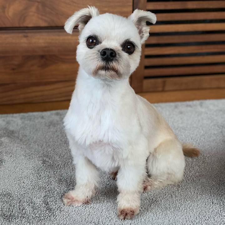 Bf19bed9 a808 42a7 8455 2d3c947a7fa3 1604667788652