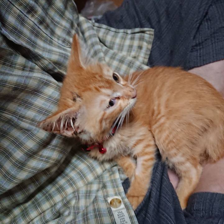 Bf19d6aa 9f2f 4ea4 b131 57c5b6cd10a0 1628023602473