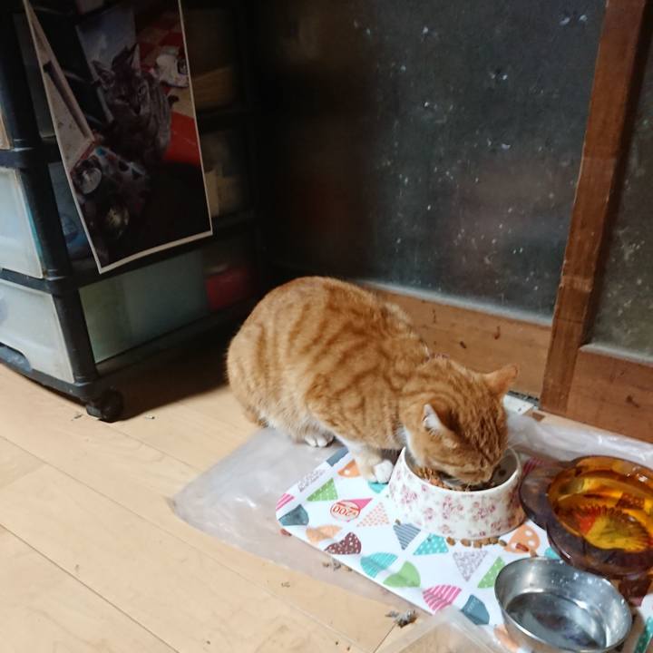 Bf19e776 aab2 45a5 b9e0 af55b2a27af7 1605038187181