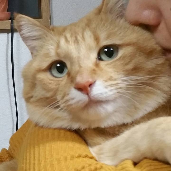 Bf19f1c1 bfe1 46ab 80e0 ae218b69da9a 1542840612264