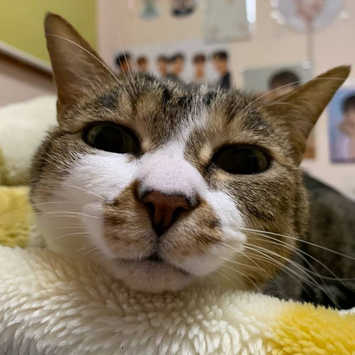 Bf1a45a1 b538 431d 8360 50814aed6121 1617967195671