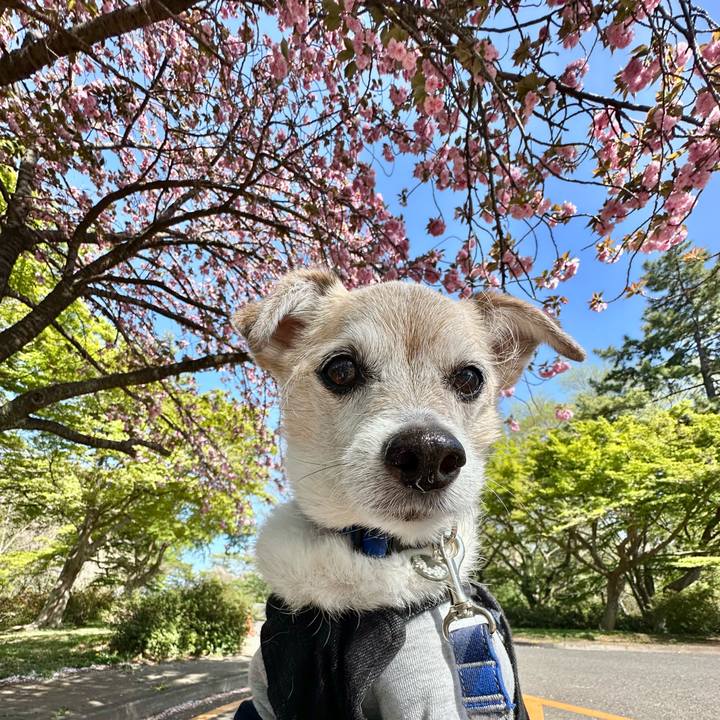 Bf1a9893 765d 49cc 997b 01682d897543 1744619709527