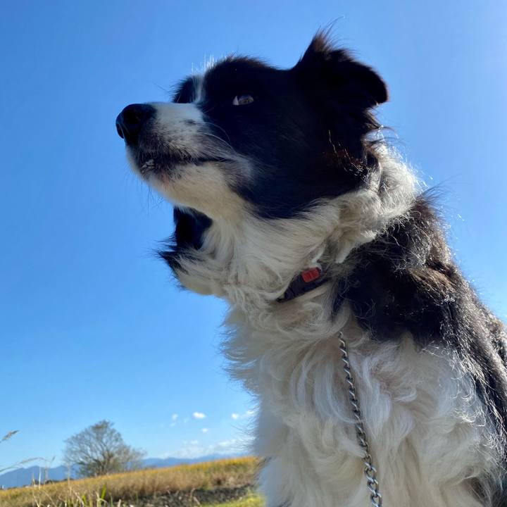 Bf1abe3d 2ed2 45df 897a 998ef8395d41 1634950563842