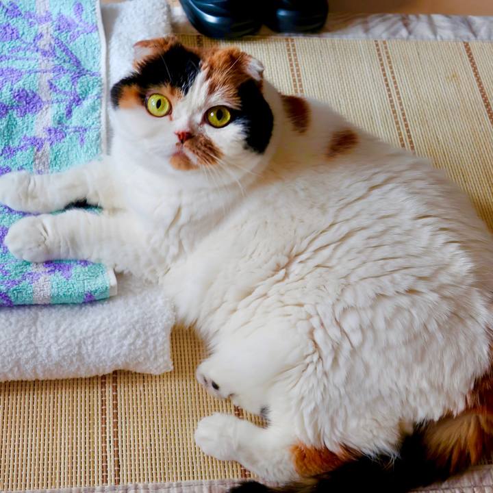 Bf1ad560 4911 444d 824d 68e6fe2190f8 1651758943887