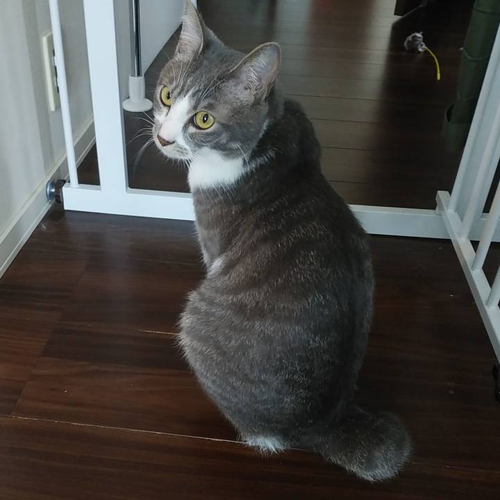 Bf1ae796 8c19 42a5 94bf 05b719f64b9a 1589932964617