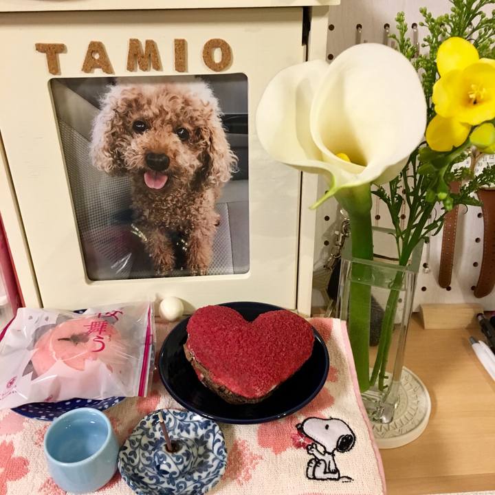 Bf1b100c 8d11 4283 b6be 88aaa7df2eec 1614694376985