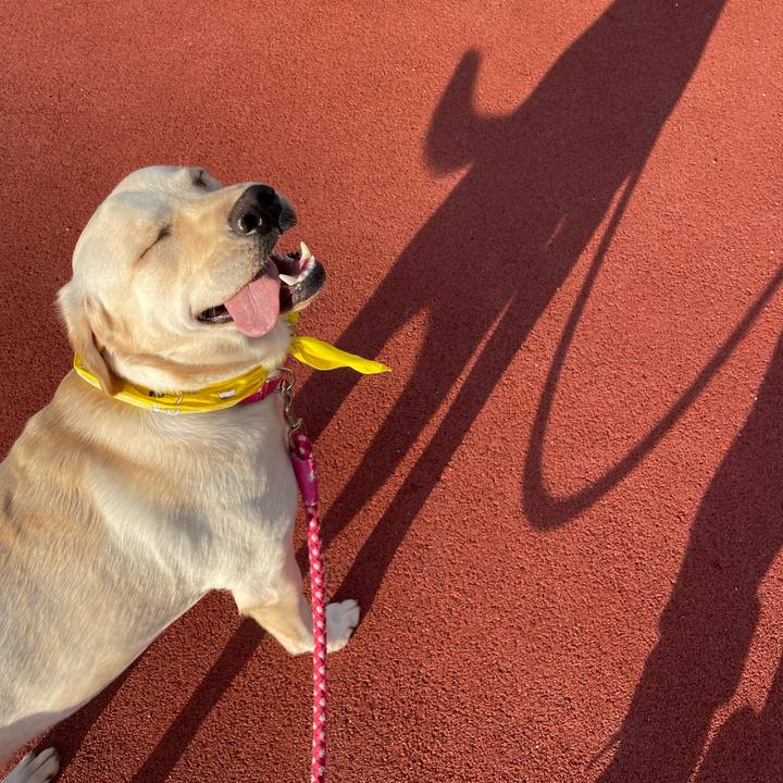 Bf1b4a79 89a9 483b bbae 40ef64c2be8a 1642591955573