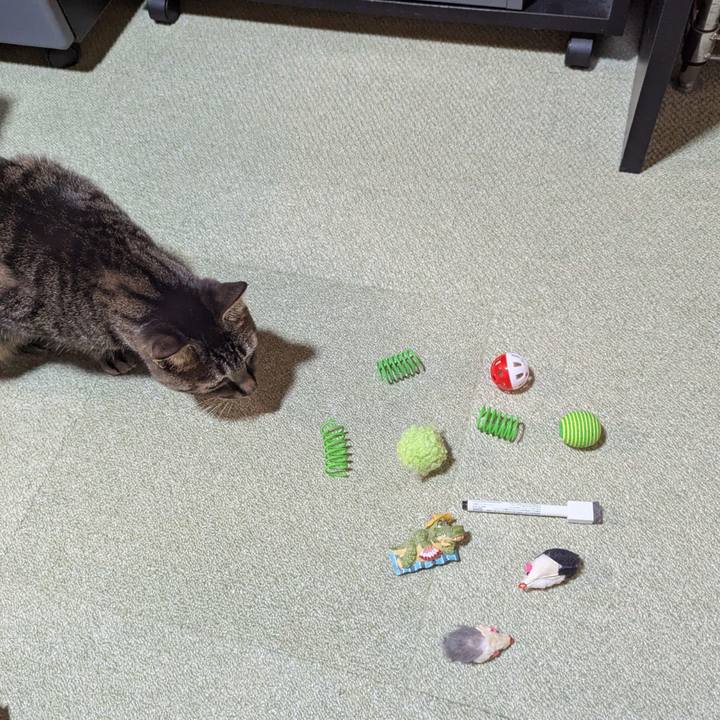 Bf1b68a5 8218 4ef4 8d80 8252f47bbf15 1771325433618