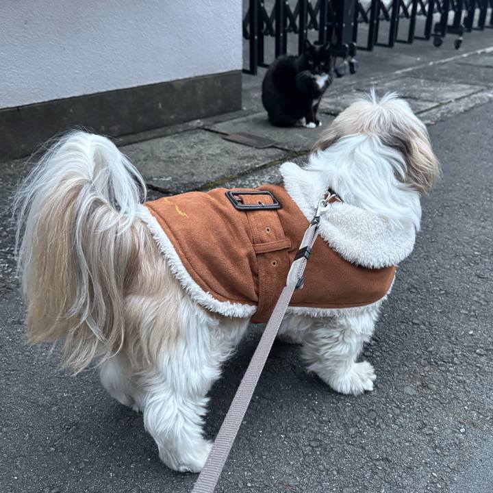 Bf1b7192 923b 4c5e a800 00af9b73b460 1741342405825