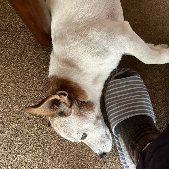 Bf1bf363 db3a 4369 b0f3 bfbb1f9c990c 1760142145291