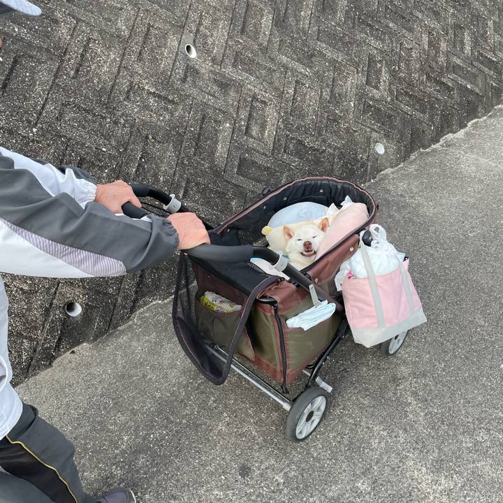 Bf1c40ad f4c3 47cf b01c 52b07d9489fd 1683289016619