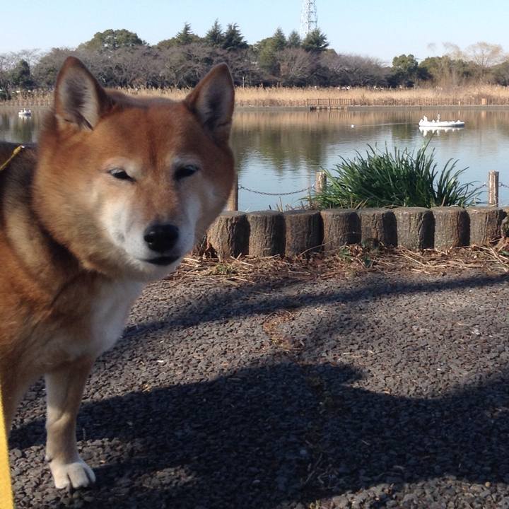 Bf1c4287 940f 485e a111 f5b303478cf8 1548243157517