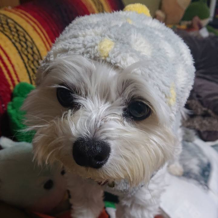 Bf1c728f f5ad 4067 b28a a65da3f6ab5f 1606734708148