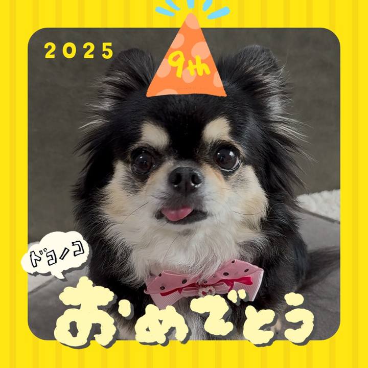 Bf1c8b9e 9be1 4444 ba37 eea74594498e 1749171767080