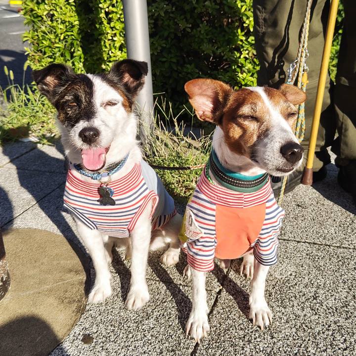 Bf1cc9d9 2c71 4f9e 8b9e 357035120737 1725486775641