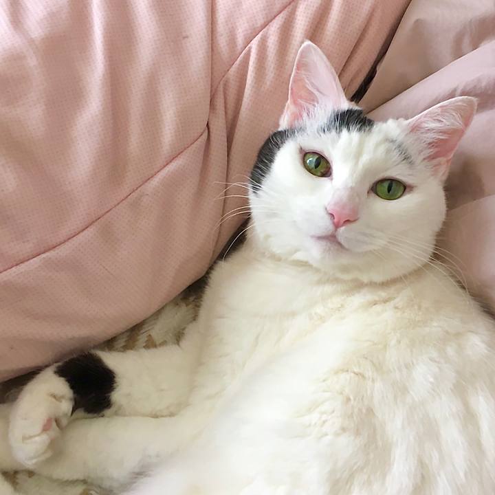 Bf1d1067 313c 4751 a5b1 899c1b97e806 1614238512443