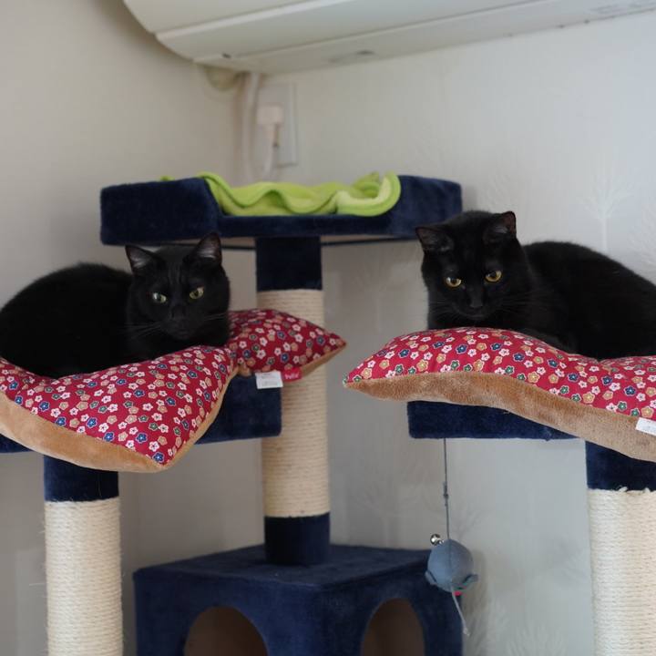 Bf1d15ac b5d1 4ba3 8ae6 eb7d7f5d4c85 1580957444178