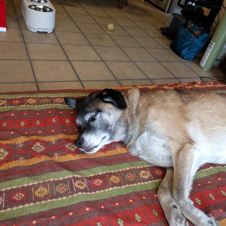 Bf1d483d 4969 4f83 90d8 6ee1b565c6a0 1742295155672