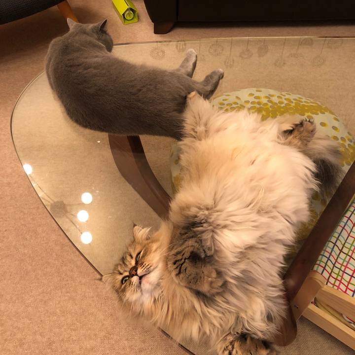 Bf1d6205 ab98 41ac a123 bfc215e763e3 1536928128700