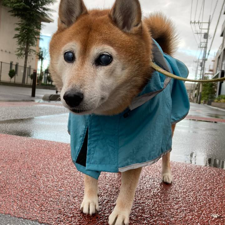 Bf1d6d10 c88e 40e2 b4c8 e6a8698733dd 1698550846786