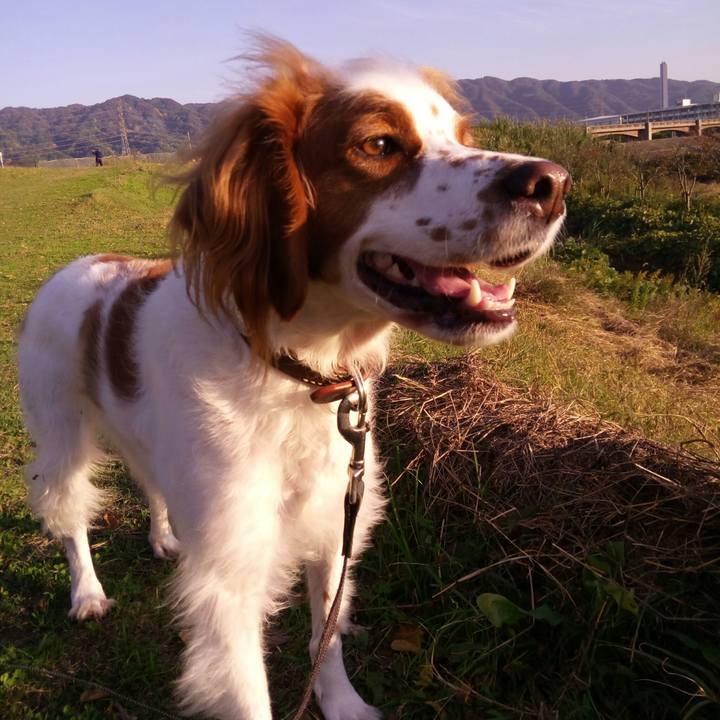 Bf1d7072 2389 4b03 880b 9bb59f4ee027 1510560361410