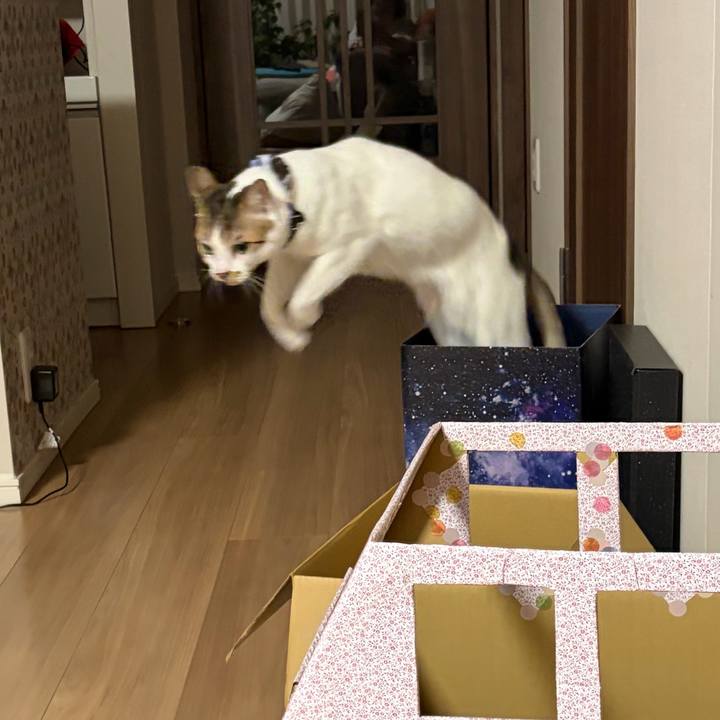 Bf1d91cf e49d 4a73 9bb4 83dd14452a20 1771412058394