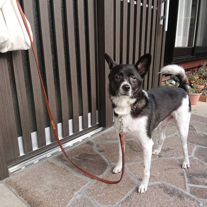 Bf1dd8ff af03 4609 a3c8 f66b7e2d9726 1598086213876