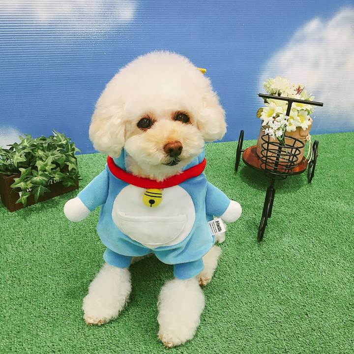 Bf1de1ec 3f20 48ac b84b 690401926e61 1510402736721