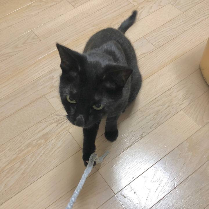 Bf1df55e 3727 476e 88cb 133cafc8c752 1604493066579