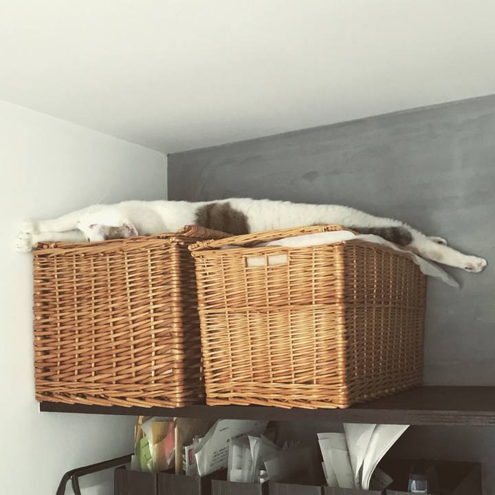 Bf1e8e7d eb09 45f6 a2ee 798a42b8e7e0 1568026947533