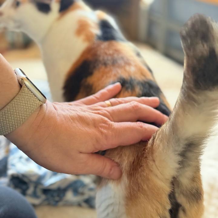 Bf1ea2f2 0d5c 46d0 86f3 0fd116c92f14 1728263580489