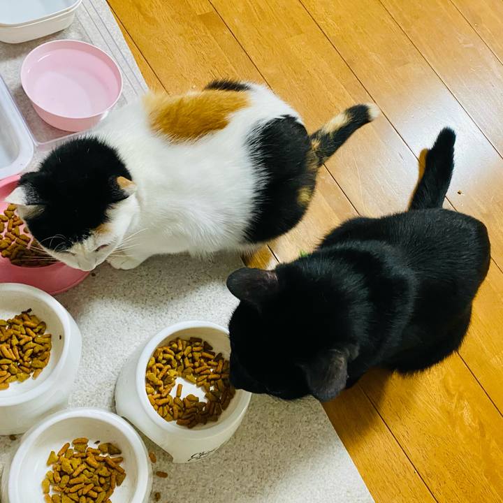 Bf1ea83e 43ac 45c3 927a cf208d504e29 1656516474879