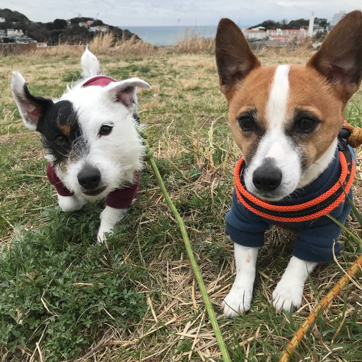 Bf1ee98d 0078 43bc b63a 90cbe4ae102b 1520297088899