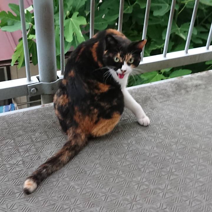 Bf1f104c fbed 44b0 8736 25c1dbed0bf2 1530155530145