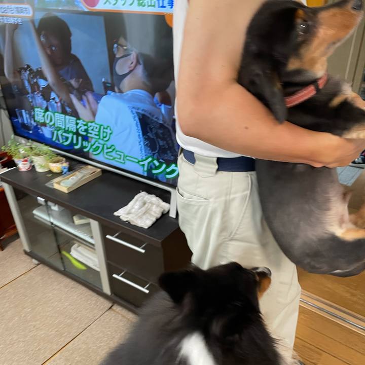 Bf1f3504 ffaf 4644 b534 372eb8794b4e 1626300740675