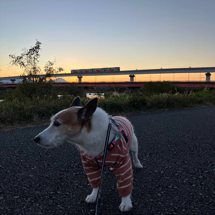 Bf1f6b76 35f9 446f ab08 94a1c24a49f1 1733181786978