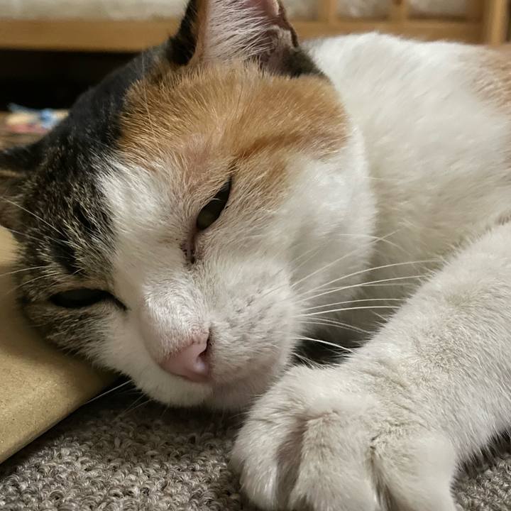 Bf1f995c 64c9 4f6c b268 eeeed669d2ff 1663846541689