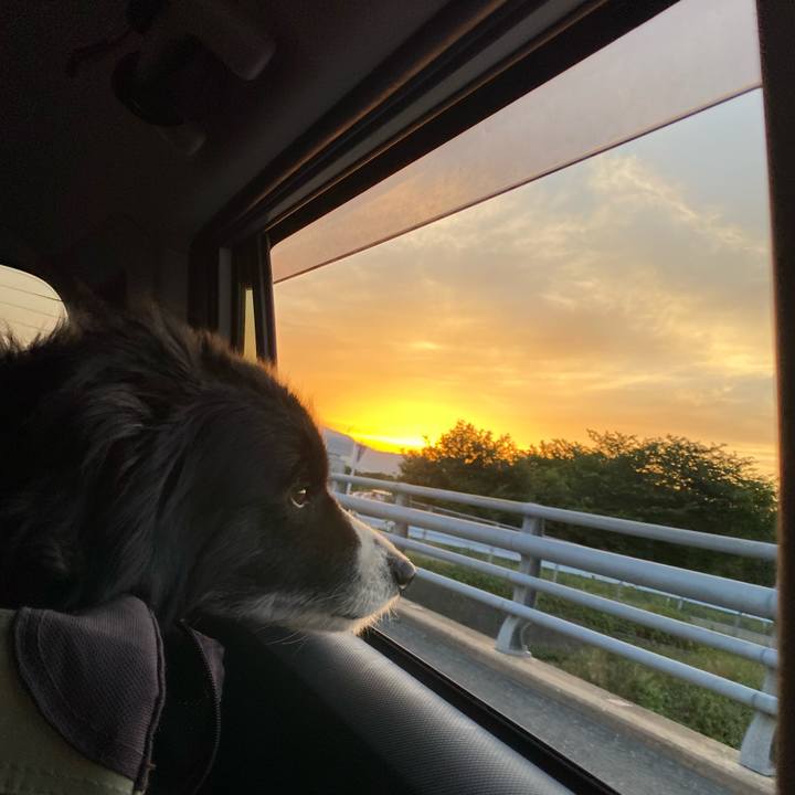 Bf1f9cd7 79ac 4fe7 b1c3 74a43b33959f 1653992316306