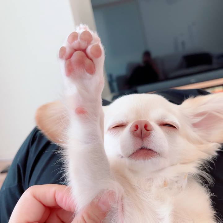 Bf1fd9e6 d901 4ef7 b1e6 a6820f6f8f49 1694500446007